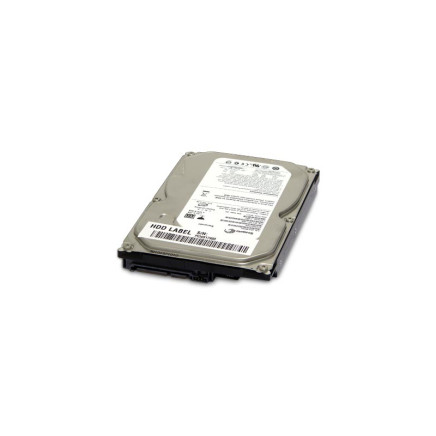 Seagate 1000GB Serial-ATA 2.0 NCQ winchester (32MB cache)