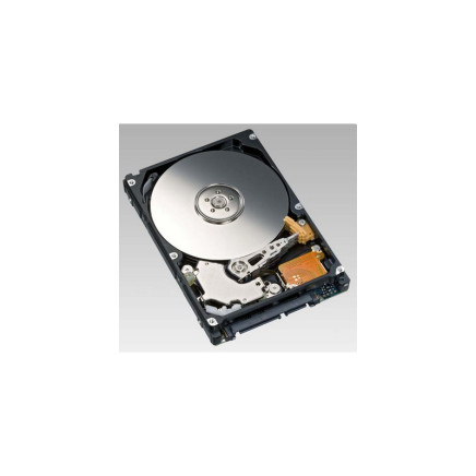 SATA MEREVLEMEZ (HDD) 40 GB (Többféle márka)