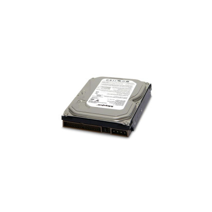 Maxtor 160GB IDE winchester